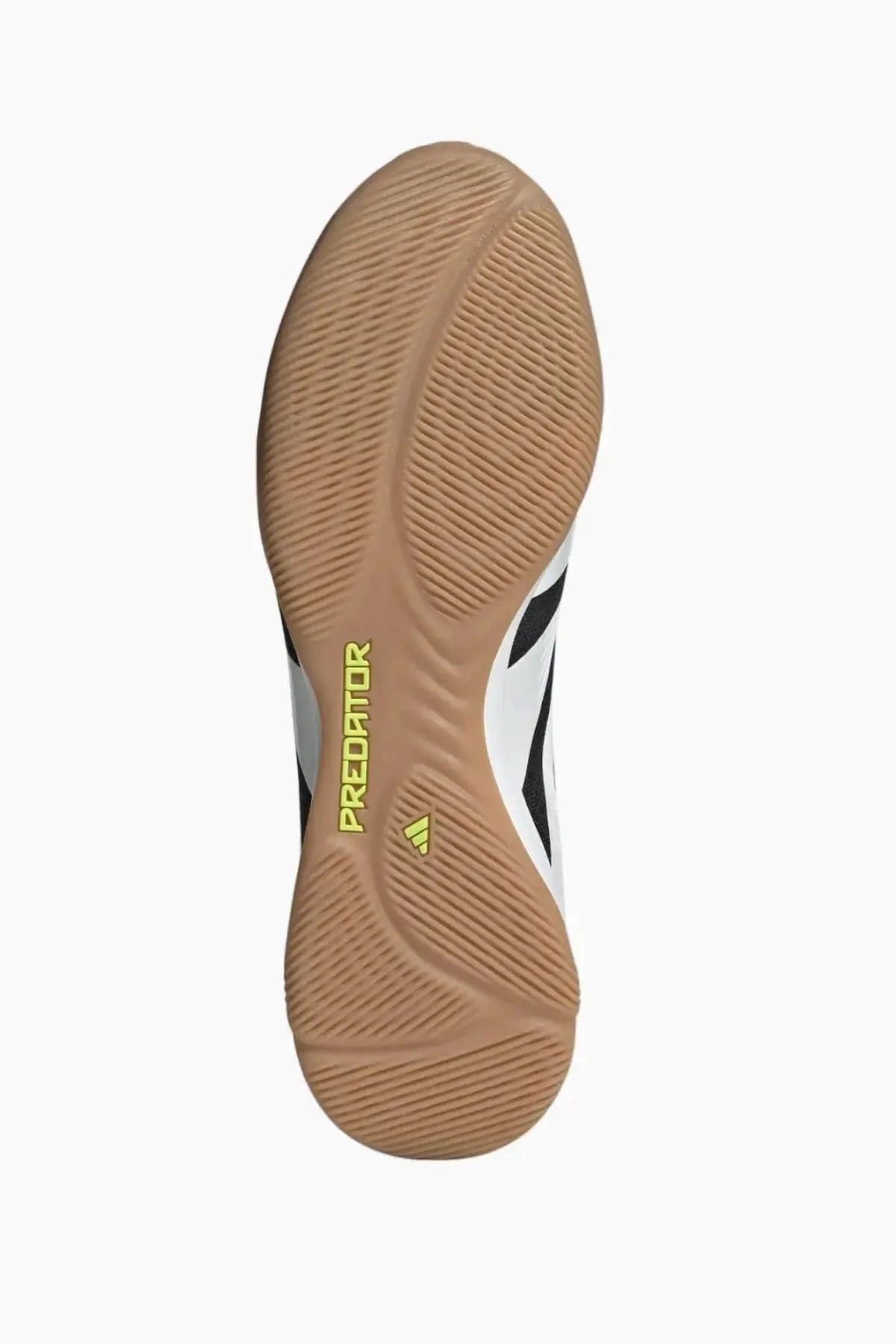 Court Shoes Adidas adidas Predator Elite Indoor - Solar Energy Pack (SP24)