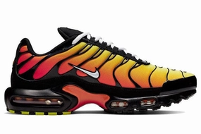 Nike Air Max Plus OG 'Tiger' Asics Solution Speed Flytefoam 3 Tennis Shoes