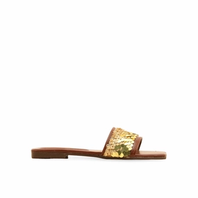 Best Shoes To Buy For Flat Feet Brown Casual Slipper For Ladies CL2059