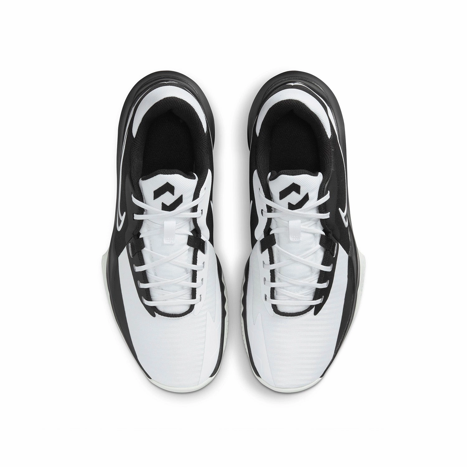 Zapatillas Baloncesto Hombre Nike Precision Difference In Asics Running Shoes