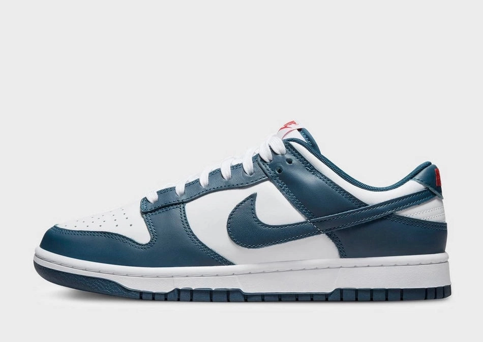 Asics Gel Fit Sana Cross Training Shoe Nike Dunk Low 'Valerian Blue'