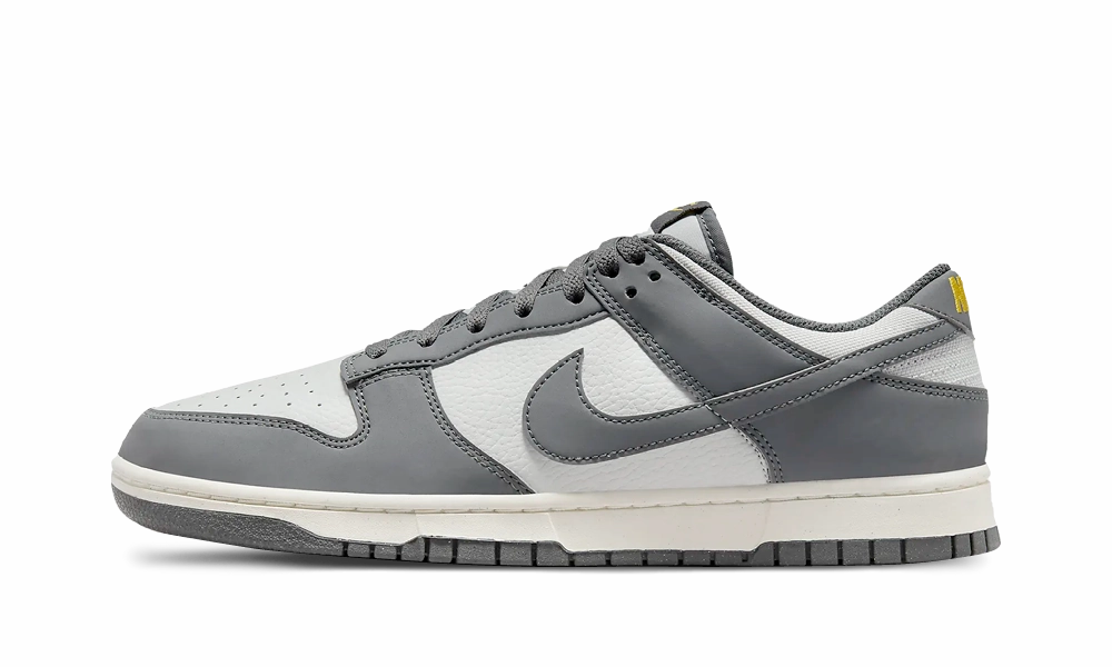 Nike Dunk Low Next Nature Iron Grey Lightning Asics Shiny Shoes