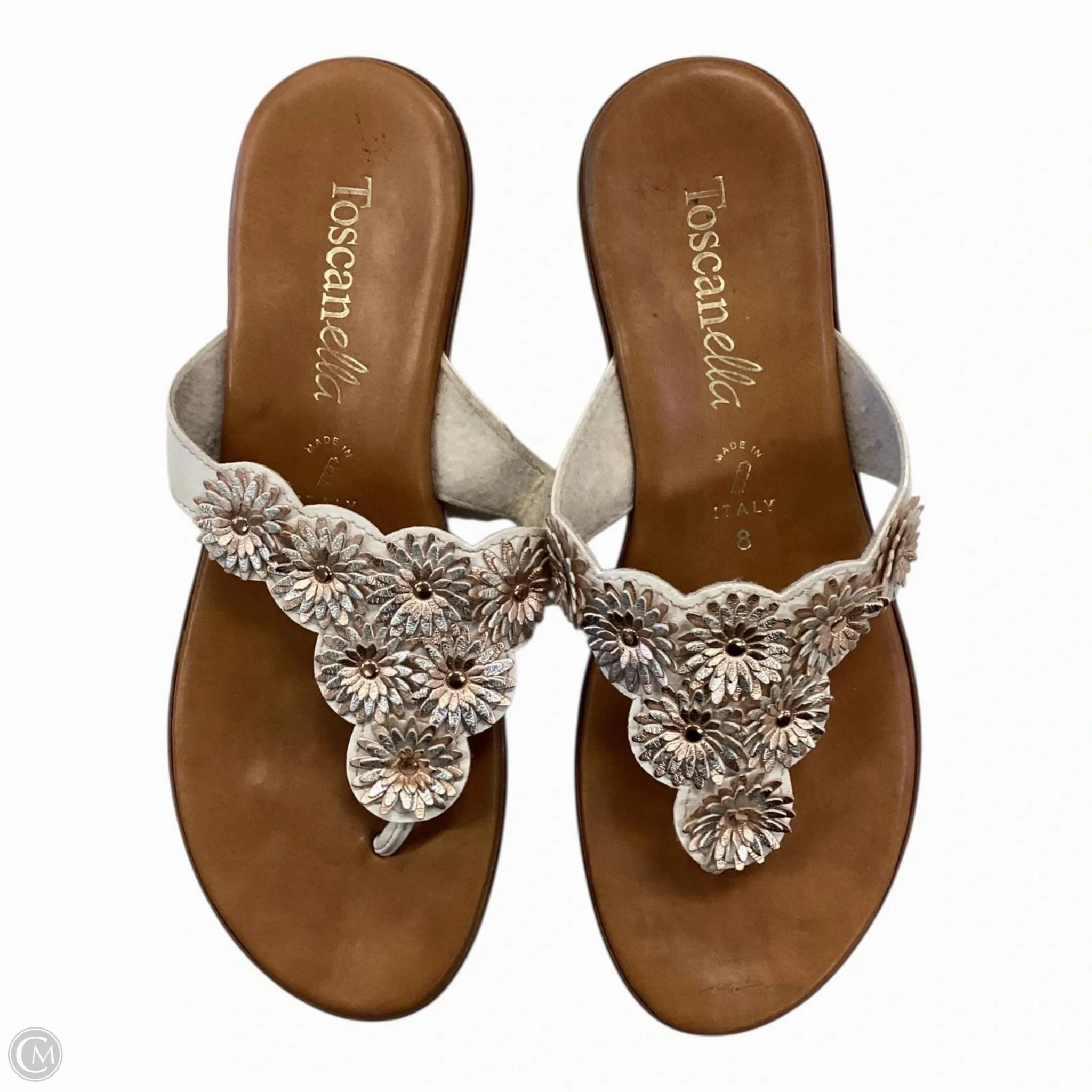 Alexander Flip Flops Sandals Flip Flops By Toscanella In Gold & Silver, Size: 8