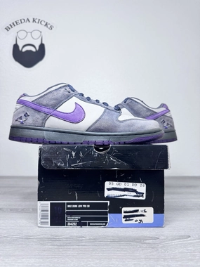 Asics Running Shoe Rotation Size 10.5 - Nike SB Dunk Low Pro Purple Pigeon 2006 304292-051 Preowned