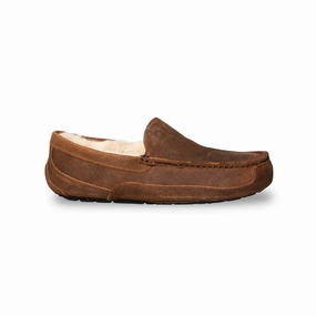 UGG Ascot Oiled Suede Chestnut Slippers - Men's Outdoor Winter Slippers