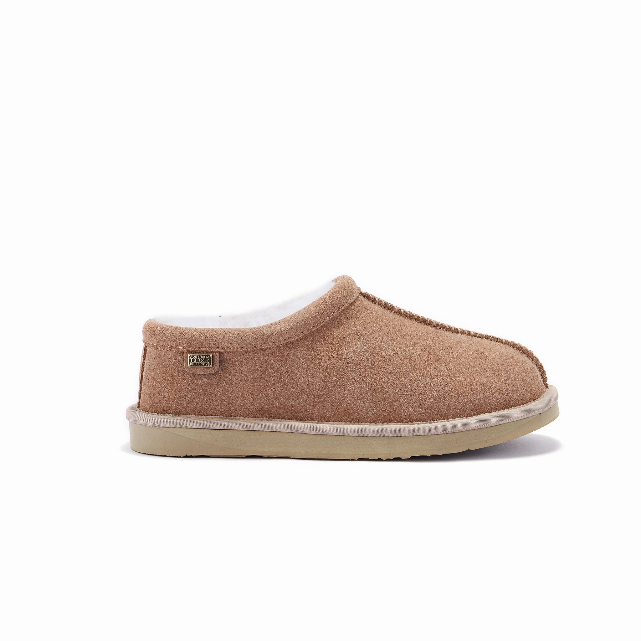 OUTBACK SAND Koala Bear Slippers