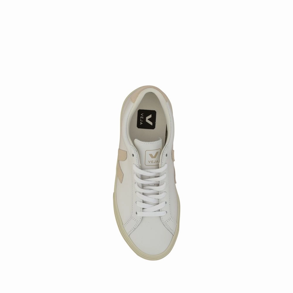 Veja White Calf Leather Bos Taurus Sneakers Paint For Leather Sneakers