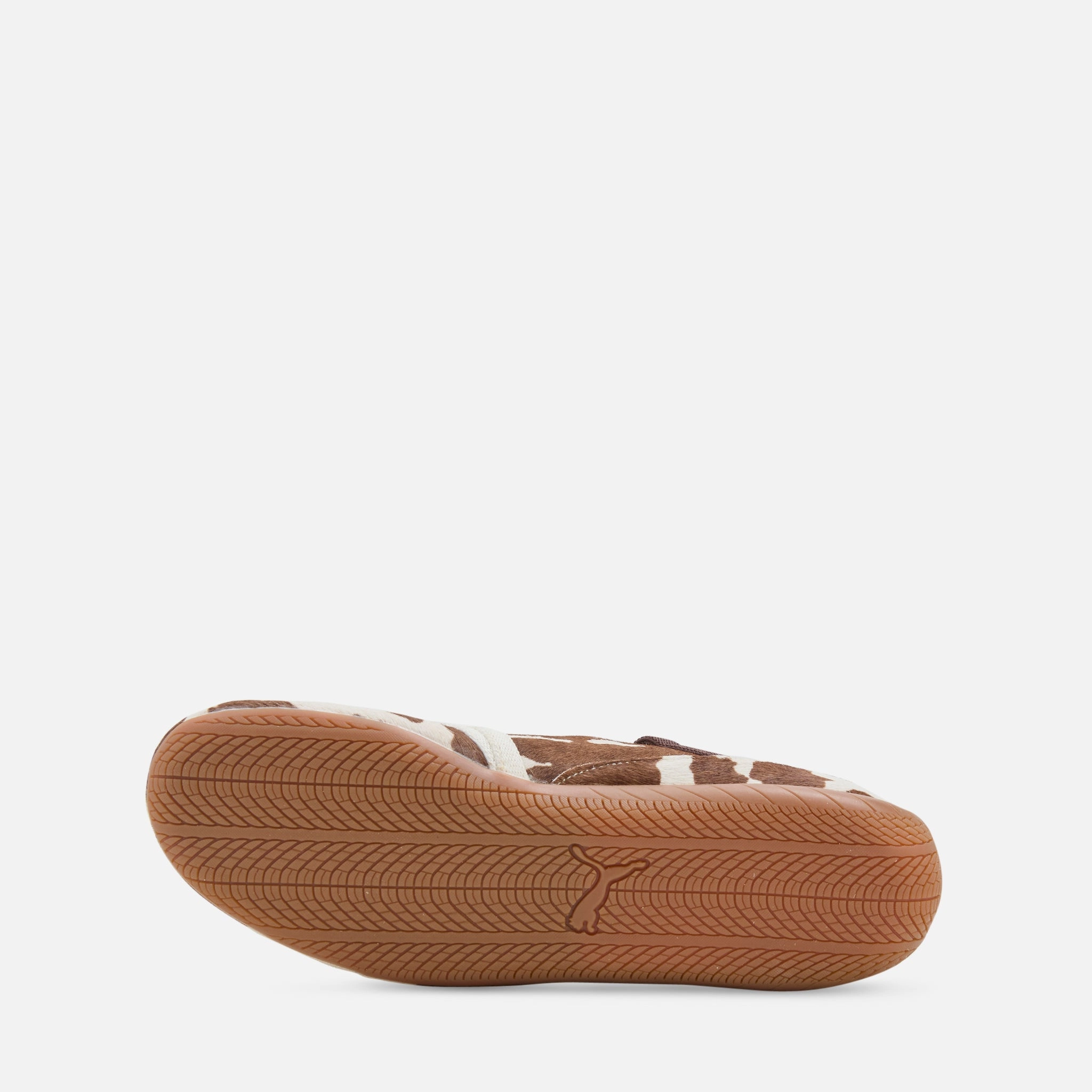 Triathlon Asics Shoes Women's Speedcat Ballet Cow Chocolate Brown | Warm White